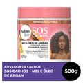 Salon Line Mel e Óleo de Argan Ativador 500g